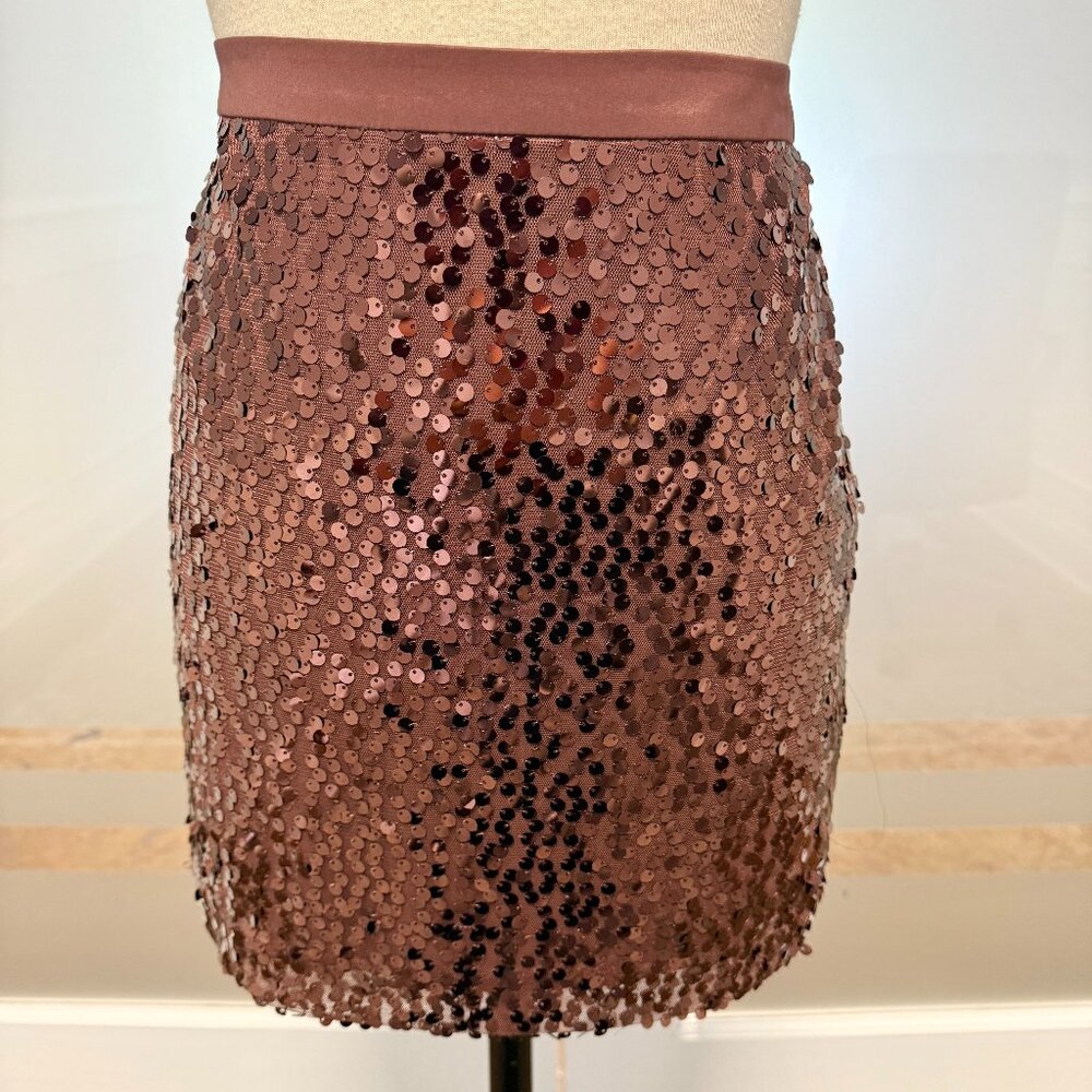 Sequin Skirt | Banana Republic | Brown | Size 6